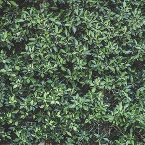 Meet your Posher, Claire